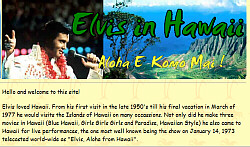 The wonderful Hawaii-Page!